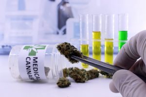 medicinal cannabis