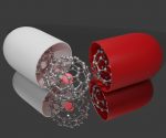 Fullerene nanomedicine with capsule case.