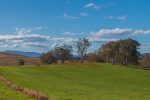 rural Australia